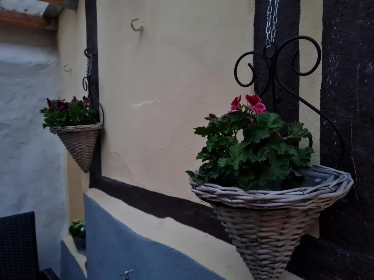 Ferienhaus Schatzliebe Кведлинбург Экстерьер фото